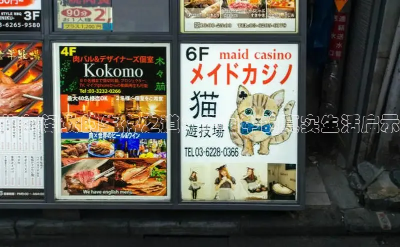 风车漫画(下拉式)免费阅读